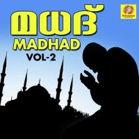 Madhad, Vol. 2 songs mp3