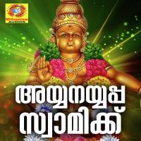 Ningaloppam Poratte Aiswarya Song Download Mp3