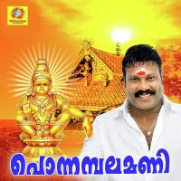 Anandhathiryilakki Kalabhavan Mani Song Download Mp3