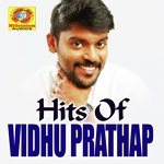 Vidaparanju Vidhu Prathap Song Download Mp3