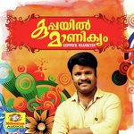 Cherumani Kettiya Penne Manithamara Song Download Mp3