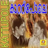 Kattu Pole Aparna Pradeep Song Download Mp3