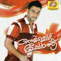 Nenjodu Cherthu songs mp3