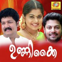 Unnikai Randilum Meera Nandan Song Download Mp3
