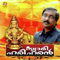 Punnyashabarigiri Arun Kumar Song Download Mp3