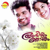 Abhiyum Njanum songs mp3