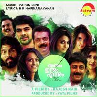 Ayiyo Vishadham (From "Annum Innum Ennum") Rahul Nambiar,Remya Viswanath,Varun Unni Song Download Mp3