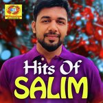Ekanayi Salim Song Download Mp3