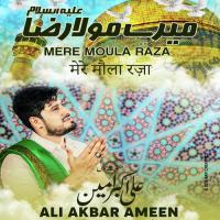 Mere Moula Raza Ali Akber Ameen Song Download Mp3
