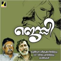Veena Vilpanakaran Kureepuzha Sreekumar Song Download Mp3