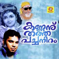 Picha Pichavarum Kannanu Zia Ul Haq Song Download Mp3
