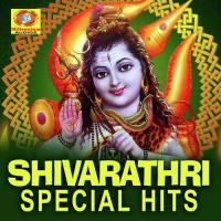 Sree Chova Maheshante Ajay Gopal Song Download Mp3