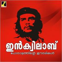 Inquilab Karthikeyan,Vinu Guruvayoor Song Download Mp3