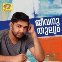 Jeevanu Thulyam songs mp3