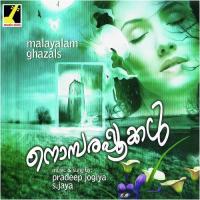 Nombarapookal songs mp3