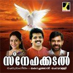 Snehakkadal songs mp3