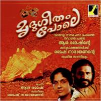 Akale Poyimaranjatho Vidhu Prathap Song Download Mp3