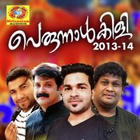 Parakodi Saleem Kodathoor Song Download Mp3