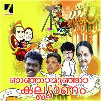Njanjamunja Kalyanam Harishmani,Akhila Anand,Saritha Rajeev Song Download Mp3