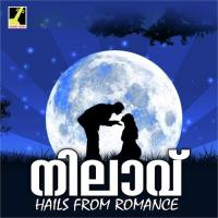 Nilaavu songs mp3