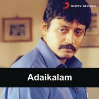 Adi Kalyana Sundari Yaaro Shankar Mahadevan,Anuradha Sriram Song Download Mp3