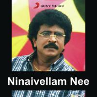 Nee Thendral Kaatru Srinivas,Harini Song Download Mp3