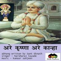 Are Krishna Are Kaanha Harsharaj Tayade Song Download Mp3