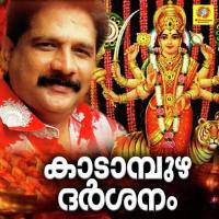 Janani Jaya Jaya Chengannur Sree Kumar Song Download Mp3
