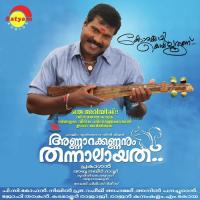 Punnarapachakiliye Vineeth Sreenivasan,Rimi Tomi Song Download Mp3