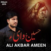 Haye Sakina (sa) Ali Akbar Ameen Song Download Mp3