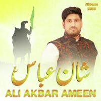 Shan-e-Abbas A.s Ali Akbar Ameen Song Download Mp3