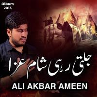 Sar E Abbas Jub Aaye Meri Turbat Ali Akbar Ameen Song Download Mp3