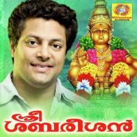 Ayyapa Vigraham Madhu Balakrishnan Song Download Mp3