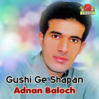 Gushi Ge Shapan songs mp3