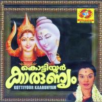 Pogallennu Amritha Suresh Song Download Mp3