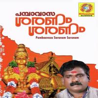 Gajaananam Bhoothaganadhi Padanilam Babu Song Download Mp3