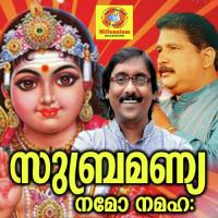 Perallasseriyil Vanarulleedum Ganesh Sundharam Song Download Mp3