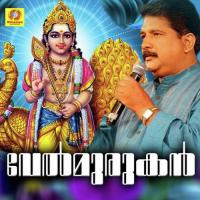 Kandu Njan Aandavane Vishnu Song Download Mp3