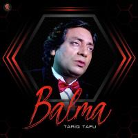 Balma Tariq Tafu Song Download Mp3