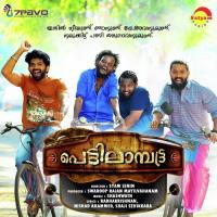 Paattukkary Suchith Suresan Song Download Mp3