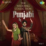 The Wedding Collection Punjabi Vol. 1 songs mp3