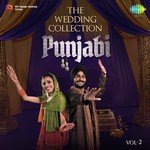 The Wedding Collection Punjabi Vol. 2 songs mp3