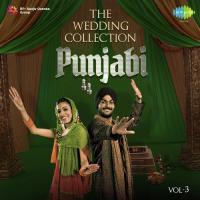 The Wedding Collection Punjabi Vol. 3 songs mp3