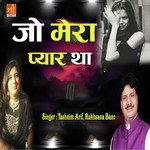 Jo Mera Pyar Tha Tashnim Arif,Rukhsana Bano Song Download Mp3