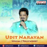 Udit Narayan Special Tollywood songs mp3