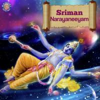 Sriman Narayaneeyam songs mp3