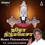 Namo Venkatesa - 1 S. P. Balasubrahmanyam Song Download Mp3