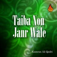 Taiba Non Janr Wale songs mp3