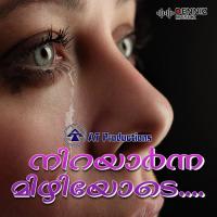 Nirayarnna Mizhiyode songs mp3