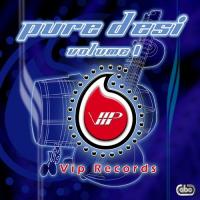 Pure Desi Volume 1 songs mp3